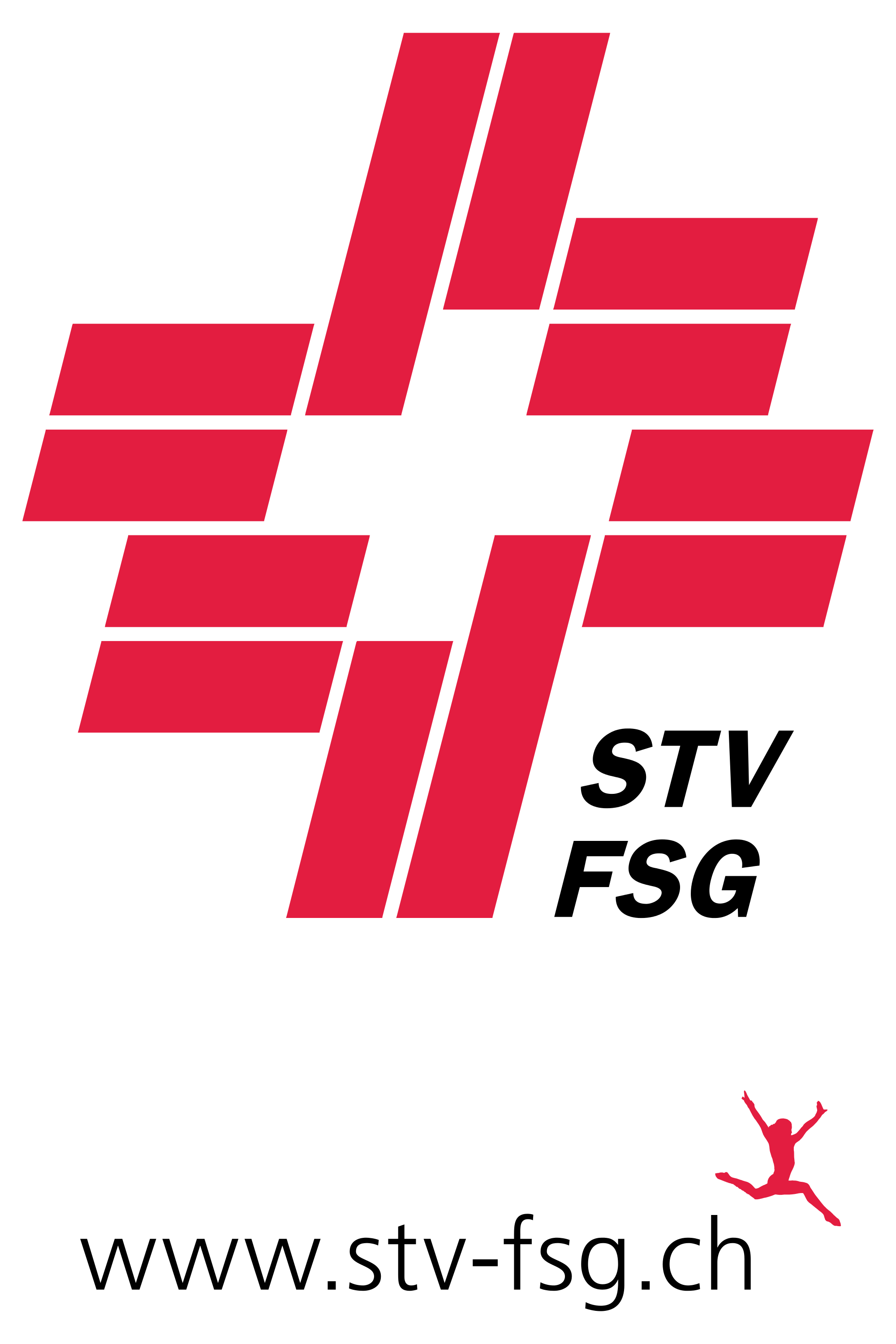 Federation Suisse de Gymnastique